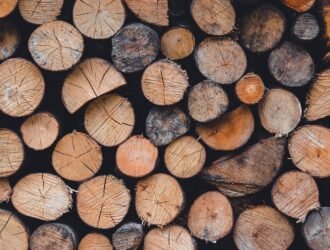 Jak usunąć pleśń z drewna