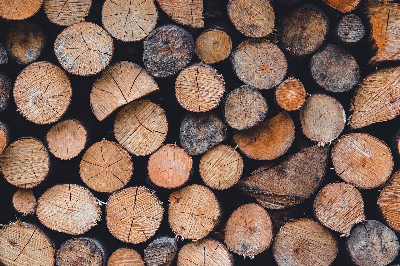 Jak usunąć pleśń z drewna